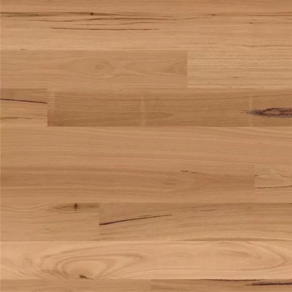 Blackbutt - SKOV Floors - Engineered Timber Flooring